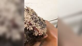 Poor Guyu: The most disgusting video you'll watch today