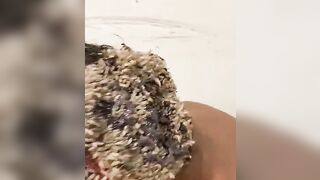Poor Guyu: The most disgusting video you'll watch today