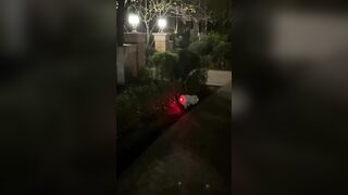 Puppy swallowed a glowing toy and this is what happened.