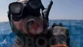 Rare Video of a Diver being Strangled by an Octopus