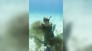 Rare Video of a Diver being Strangled by an Octopus