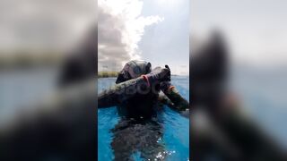 Rare Video of a Diver being Strangled by an Octopus