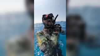 Rare Video of a Diver being Strangled by an Octopus