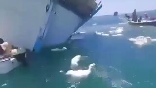 Never Saw this Before: A ship carrying thousands of sheep capsized off the coast of Yemen. Locals Help to Save them