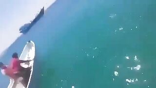 Never Saw this Before: A ship carrying thousands of sheep capsized off the coast of Yemen. Locals Help to Save them
