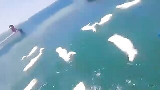 Never Saw this Before: A ship carrying thousands of sheep capsized off the coast of Yemen. Locals Help to Save them