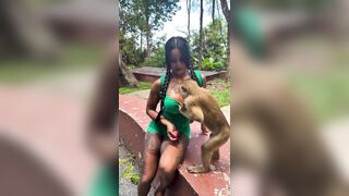 No I'm not Jealous of this monkey