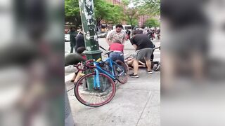 WHOA: Two Pitbulls Maul a Chihuahua Service Dog in NYC (Owner Alleges it was Intentional)