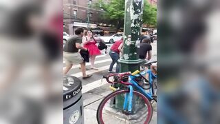 WHOA: Two Pitbulls Maul a Chihuahua Service Dog in NYC (Owner Alleges it was Intentional)
