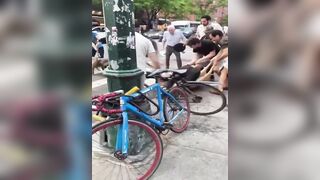 WHOA: Two Pitbulls Maul a Chihuahua Service Dog in NYC (Owner Alleges it was Intentional)