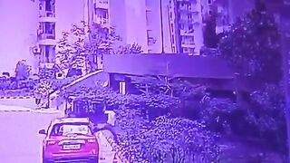 Woman jumps from 2nd Story to Avoid Leached Dog Attack. (Looks to me like She tied up the Dog then Jumped)