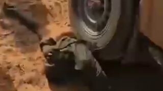 Sudan: Islamic Branch in Sudan continues to Kill. Running Over Rivals