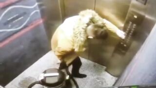 Ever seen a Man completely Owned by a Vacuum?