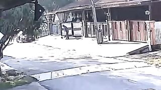 Senior Citizen Hit by a Car While Sweeping in front of His House