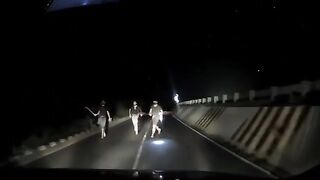 Quick Thinking Driver avoids an Ambush in the Dark (Mexico)
