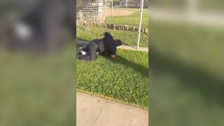 LAPD officer grabs a 14-year-old by the neck during encounter