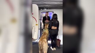 Can't Travel with Bags over 50lbs or More than 3oz of Liquid but Narcissistic 'Fitness Influencers' can Exploit the Americans with Disabilities Act.