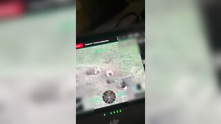 A drone captured footage of marmots engaging in a battle right on the front lines.