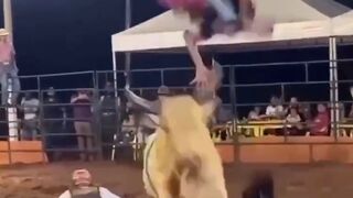 Watch this Amazing Move by the Mighty Bull..This is Talent (Slow motion added)