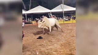 Watch this Amazing Move by the Mighty Bull..This is Talent (Slow motion added)