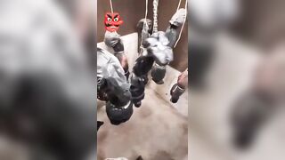 Organized crime hangs its victims as if they were bats
