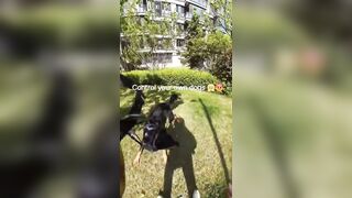 Big Dog vs Two Little & the Crazy Karen but Who's at Fault?
