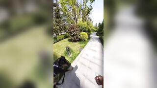 Big Dog vs Two Little & the Crazy Karen but Who's at Fault?