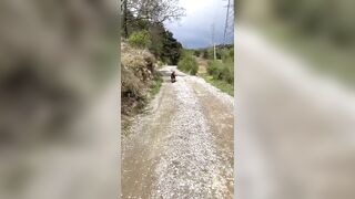 Big Dog vs Two Little & the Crazy Karen but Who's at Fault?