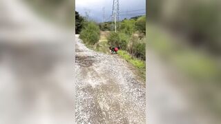 Big Dog vs Two Little & the Crazy Karen but Who's at Fault?
