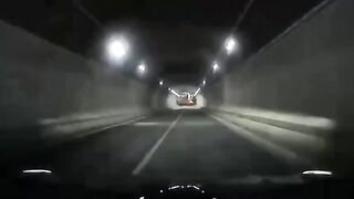 Suicide Run? Crazy Driver Floors It through Tunnel until Death finds Him