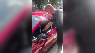 If you leave your pet in a hot vehicle you deserve to have this happen to your car.
