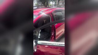 If you leave your pet in a hot vehicle you deserve to have this happen to your car.