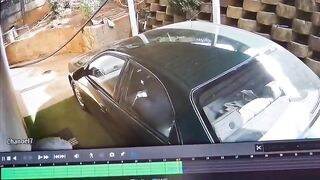 Thief trying to break inside home mauled by dogs in South Africa