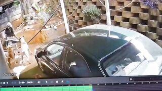 Thief trying to break inside home mauled by dogs in South Africa