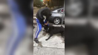 That dog doesn't like worthless street trash either [wait for it]