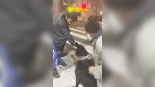 That dog doesn't like worthless street trash either [wait for it]