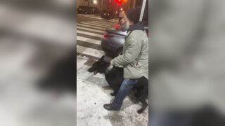 That dog doesn't like worthless street trash either [wait for it]