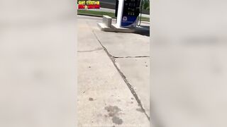 Worthless parasites of society get caught stealing on multiple occasions