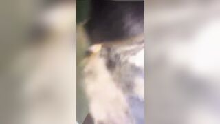 (Video is Graphic!) "Let me die! Let me!" Hysterical Wife breaks down after Husband and Friend Killed Showing off a Grenade