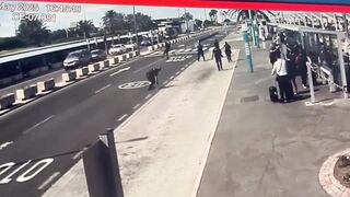 Man with Knife Zig-Zags until the Police can Shoot Him