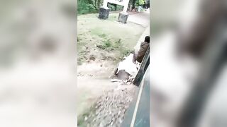 Let go Bro! Brutal Nightmare as Man let's Go of Moving Train (2 Angles)