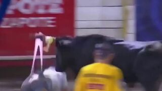 Woman gets the Best Wedgie of All Time via Bull