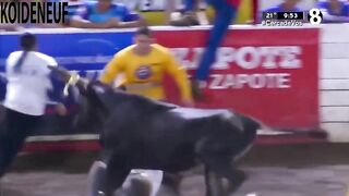 Woman gets the Best Wedgie of All Time via Bull