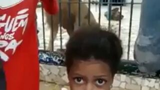 Picture with the Lion has a Background Much More Interesting