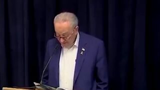 Chuck Schumer blames the Mexican ship/Brooklyn Bridge on President Trump and DOGE-For Real