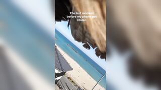 girl was taking selfie when an eagle suddenly swooped in and snatched her smartphone