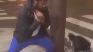 Man Punches dog but Finds Out Quick