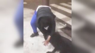Man Punches dog but Finds Out Quick