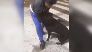 Man Punches dog but Finds Out Quick