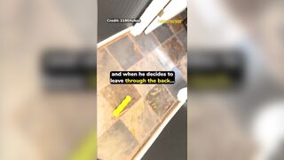 Woman has freakout at delivery driver when her new fridge doesn't fit through doorway